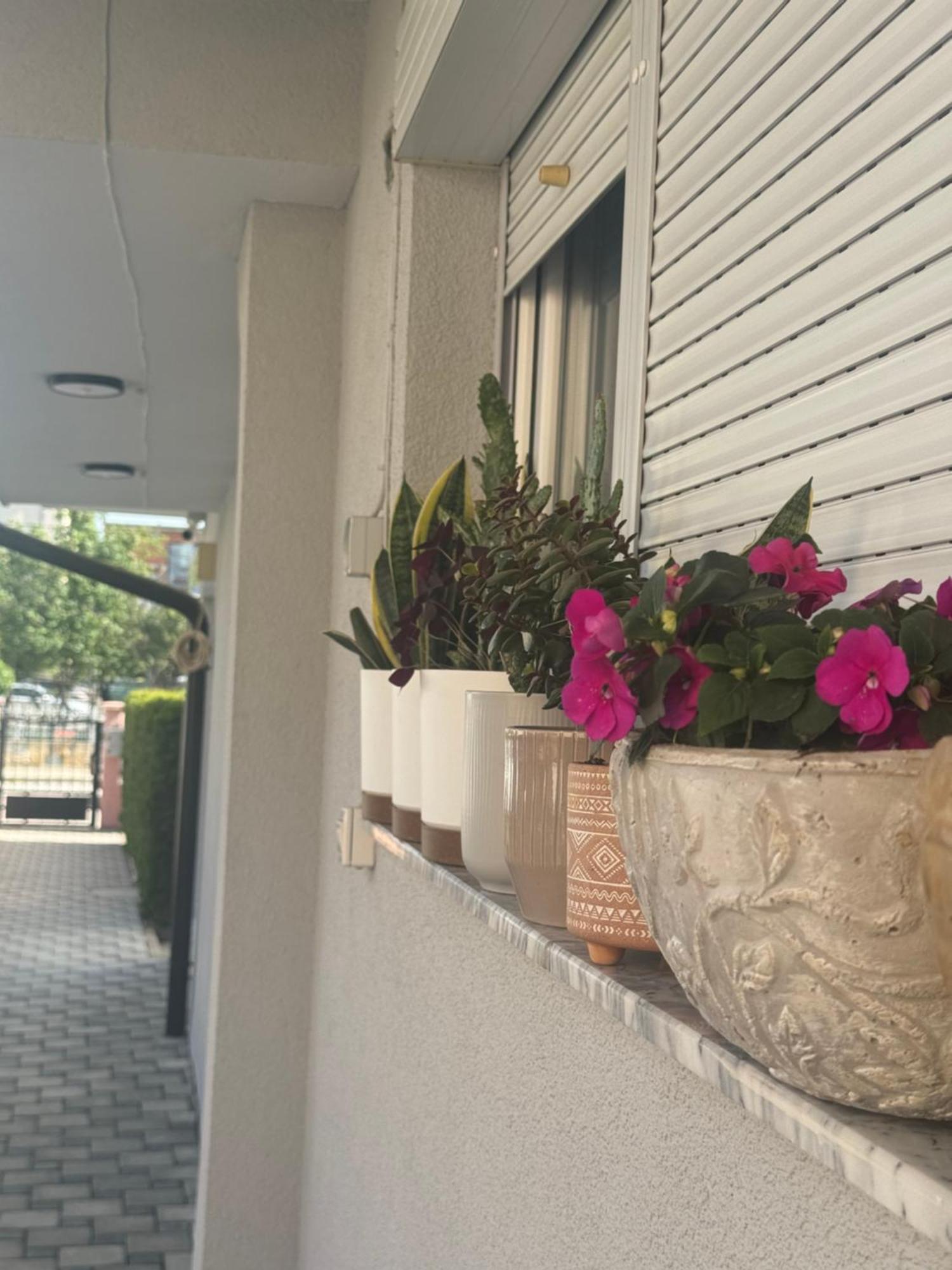 Vila Bolonja Struga Ngoại thất bức ảnh