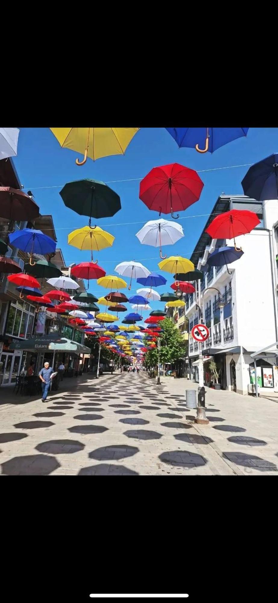 Vila Bolonja Struga Ngoại thất bức ảnh